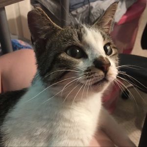 Meet your Posher, Tessa